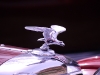 alvis-at-kirstead-hall-bonnet-mascot1